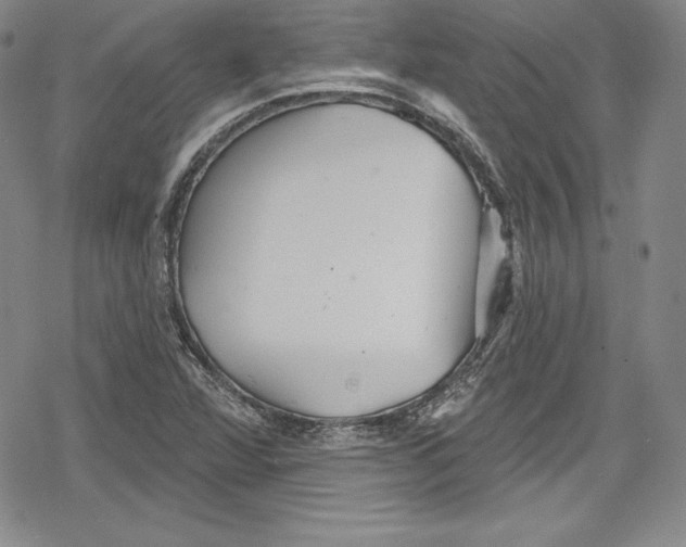 X0000078831360200612111509