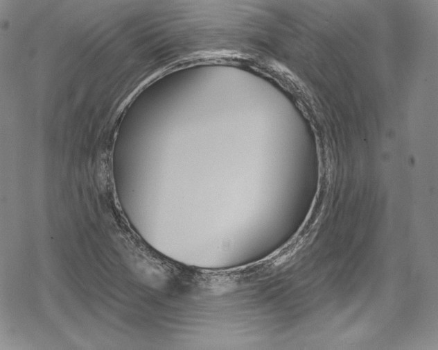 X0000078831361200612111509