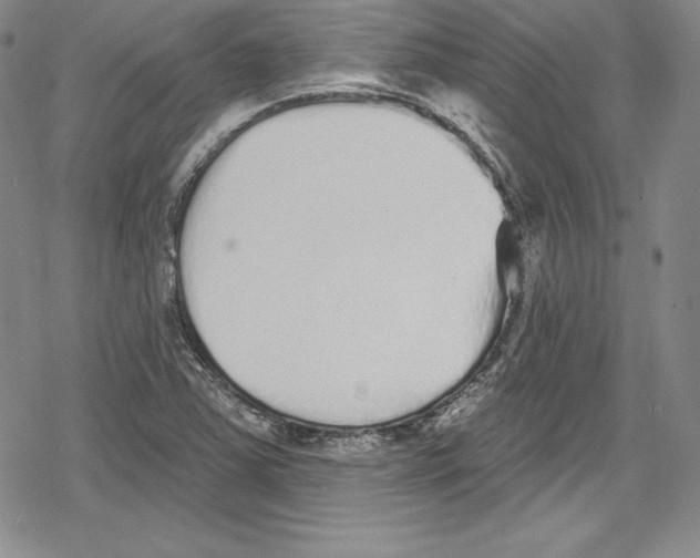 X0000078831363200612111509