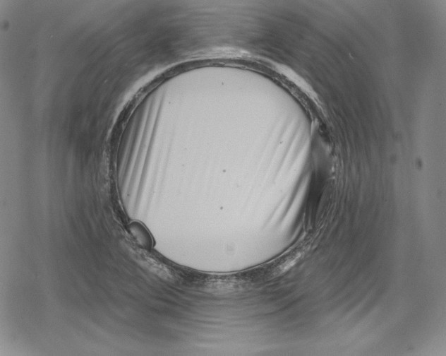 X0000078831364200612111509