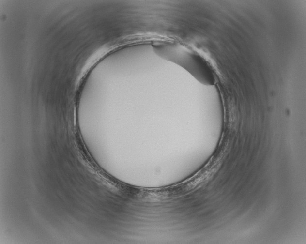 X0000078831365200612111509