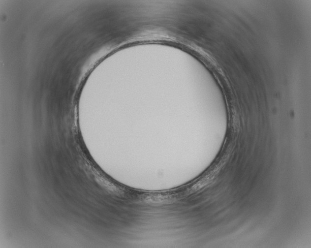 X0000078831366200612111509