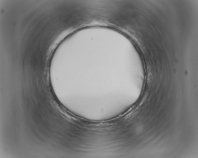 X0000078831367200612111509