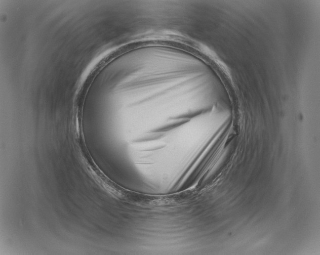 X0000078831368200612111509