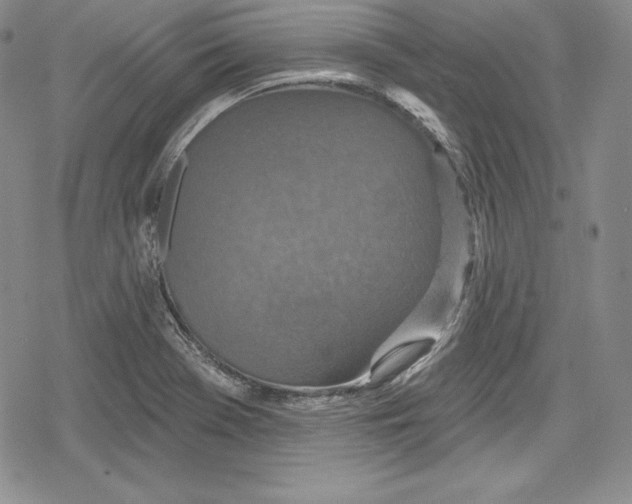 X0000078831369200612111509