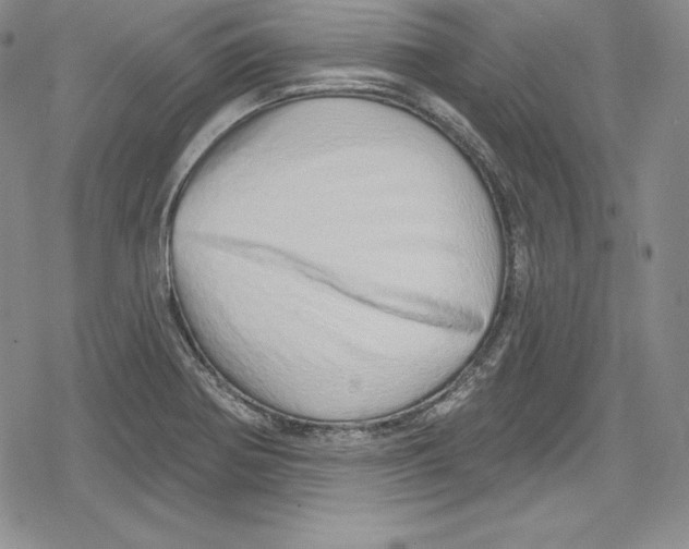 X0000078831370200612111509