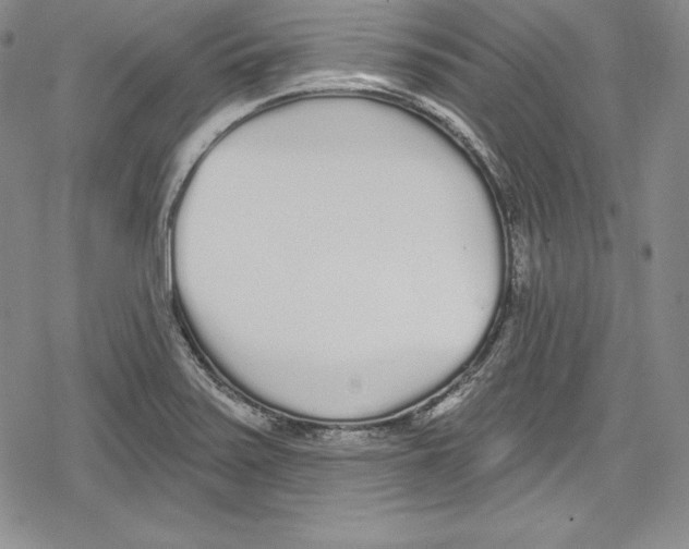 X0000078831371200612111509