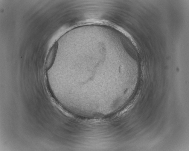 X0000078831373200612111509