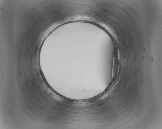 X0000078831374200612111508