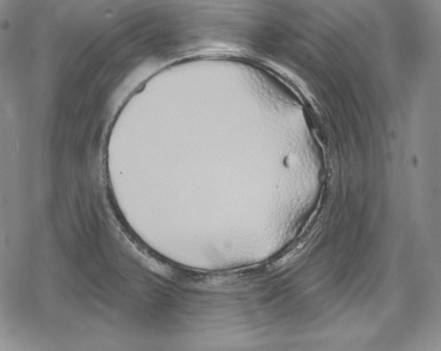 X0000078831375200612111508