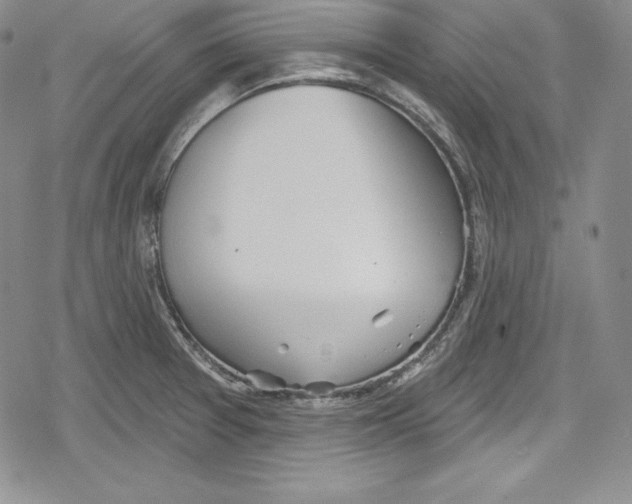 X0000078831377200612111508