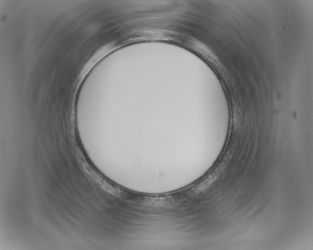 X0000078831378200612111508