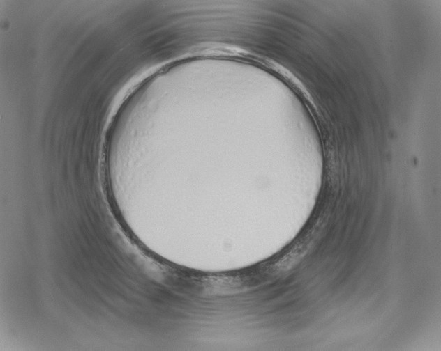 X0000078831379200612111508