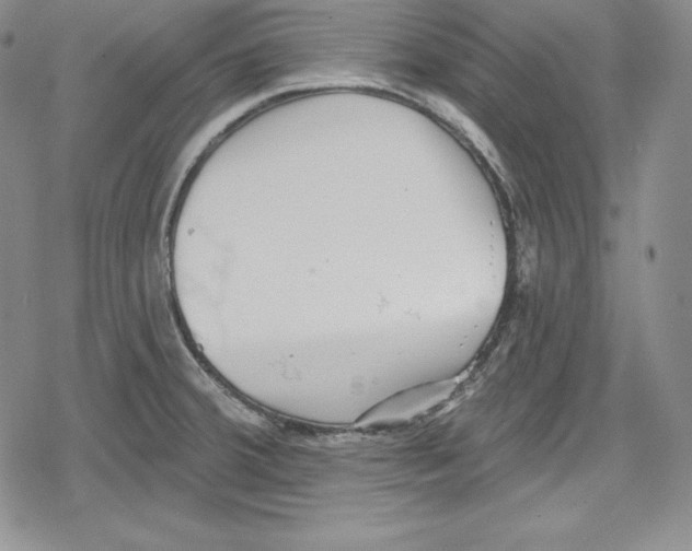 X0000078831380200612111508