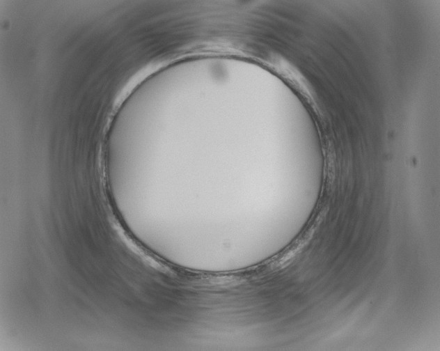 X0000078831382200612111508