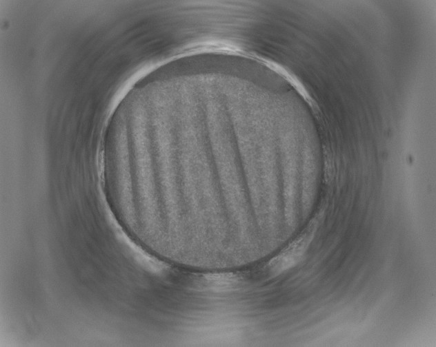 X0000078831383200612111508