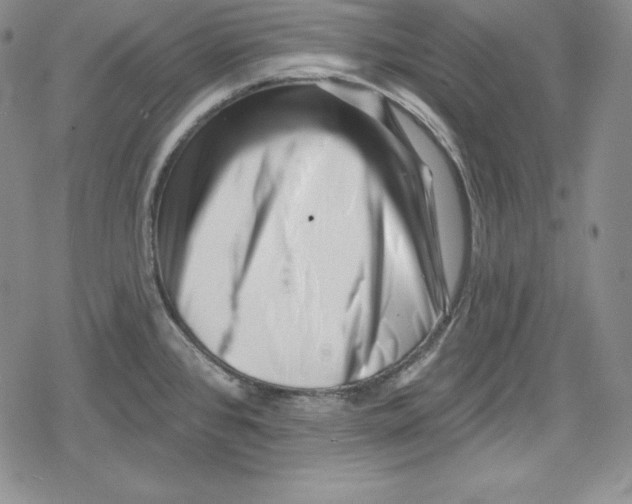 X0000078831384200612111508