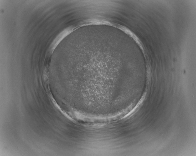 X0000078831385200612111508