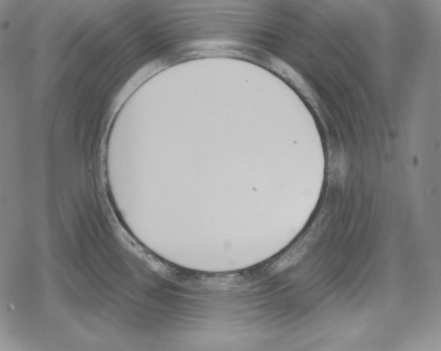 X0000078831386200612111508