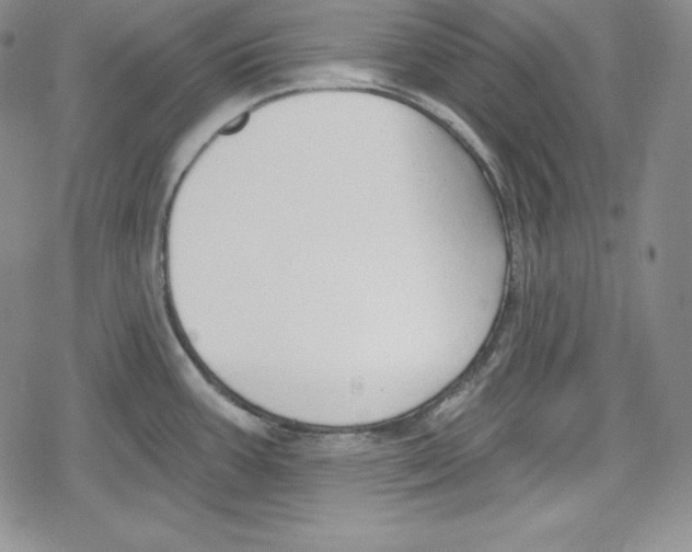 X0000078831387200612111508