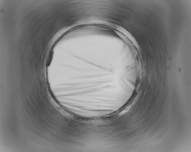 X0000078831388200612111508