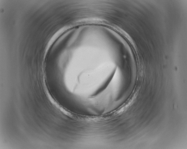 X0000078831389200612111508