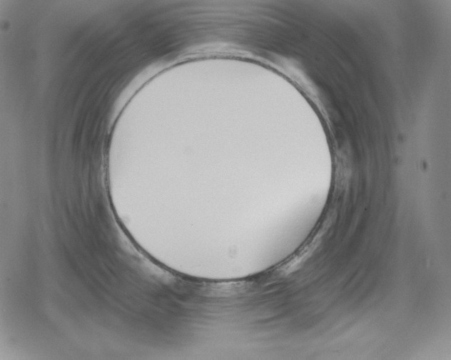 X0000078831390200612111508