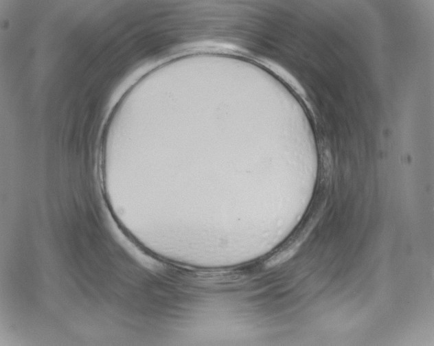 X0000078831391200612111508