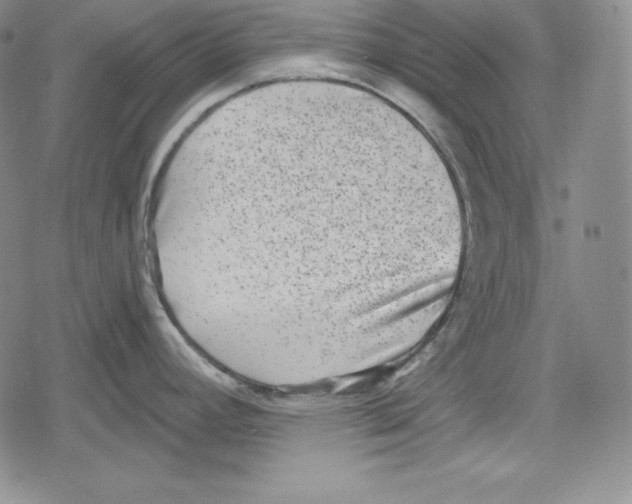 X0000078831392200612111508