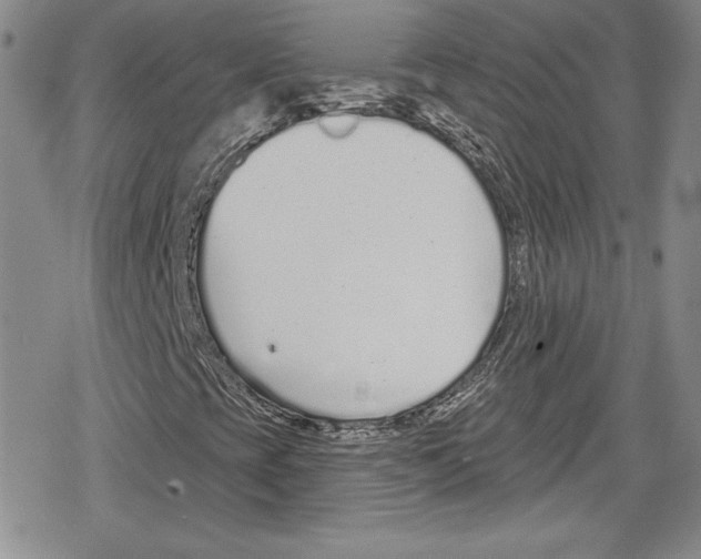 X0000078831393200612111507