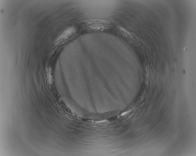 X0000078831394200612111507