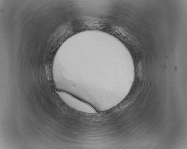 X0000078831395200612111507