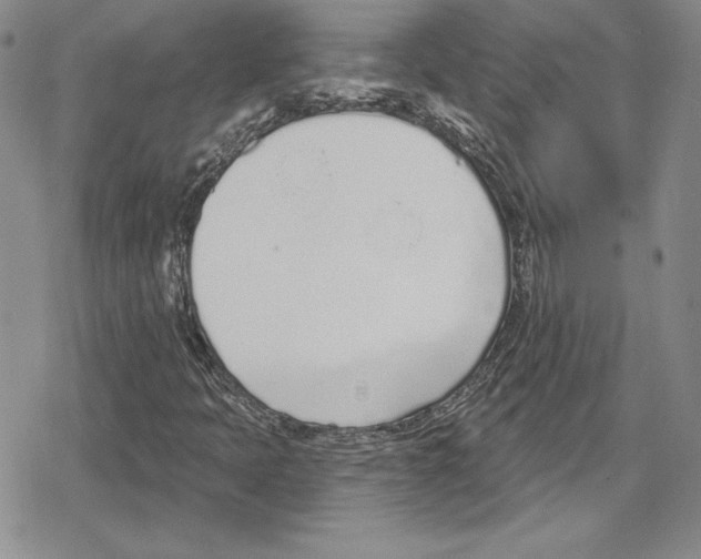 X0000078831397200612111507