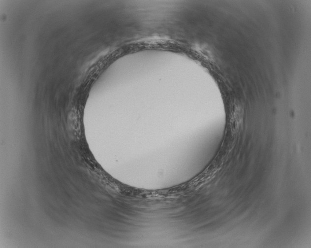 X0000078831398200612111507