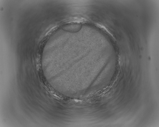 X0000078831399200612111508