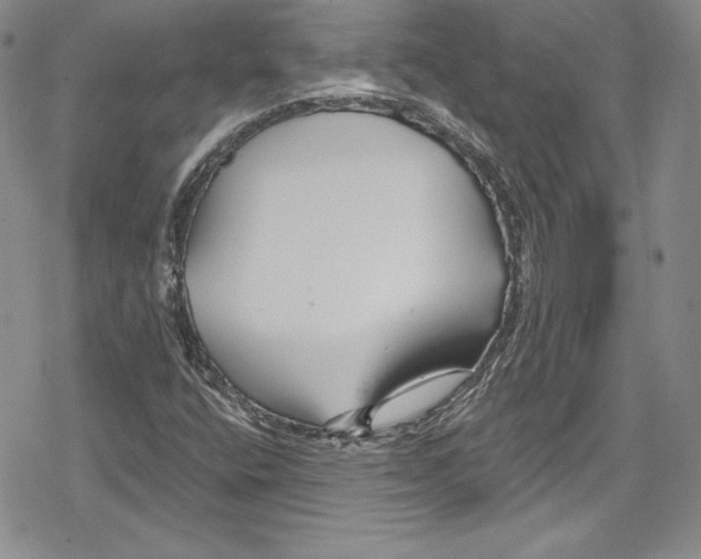 X0000078831400200612111508