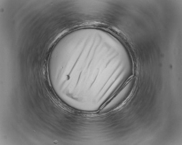 X0000078831401200612111508