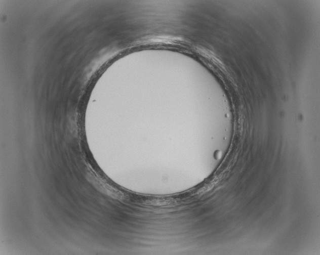 X0000078831404200612111508