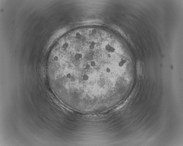 X0000078831405200612111508