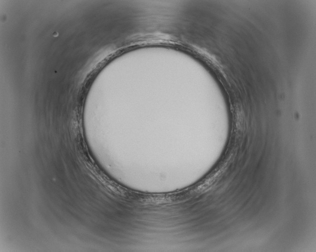 X0000078831407200612111508