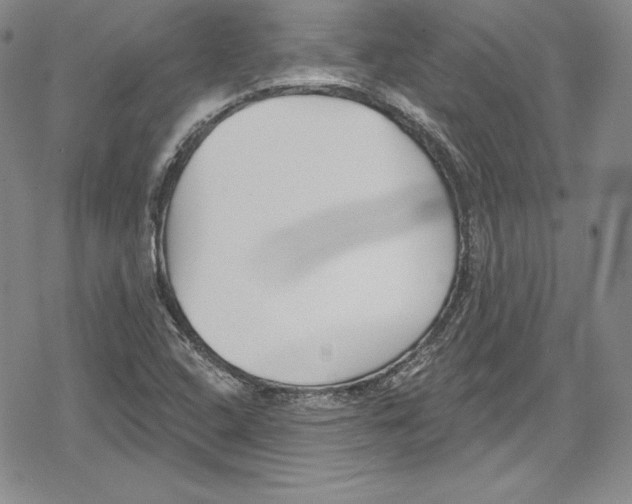 X0000078831408200612111508