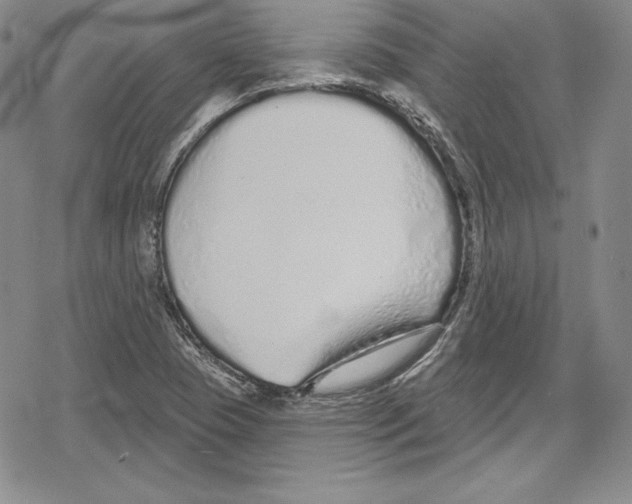 X0000078831409200612111508