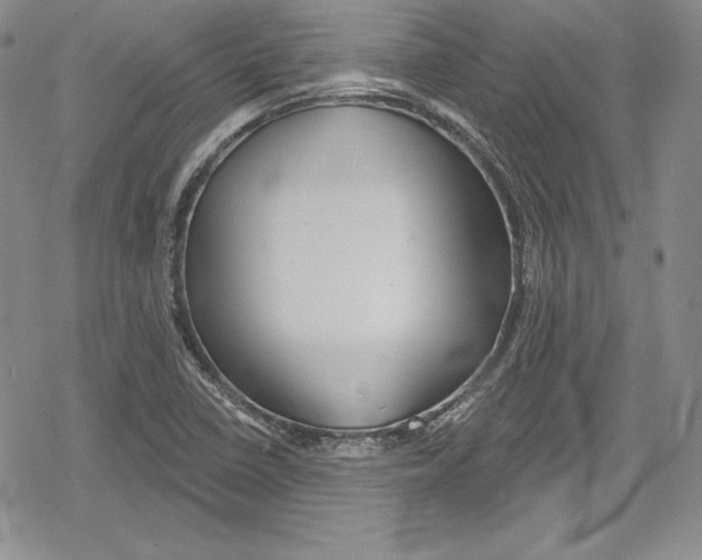 X0000078831410200612111508