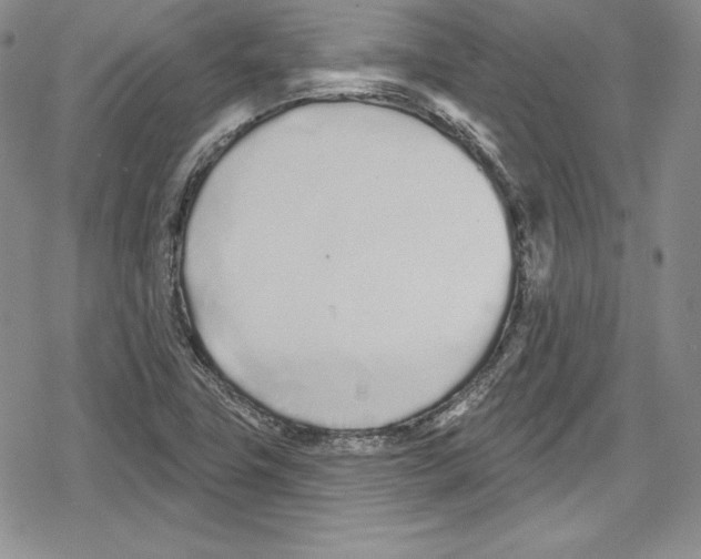 X0000078831411200612111508