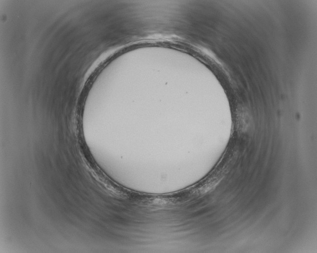 X0000078831412200612111508