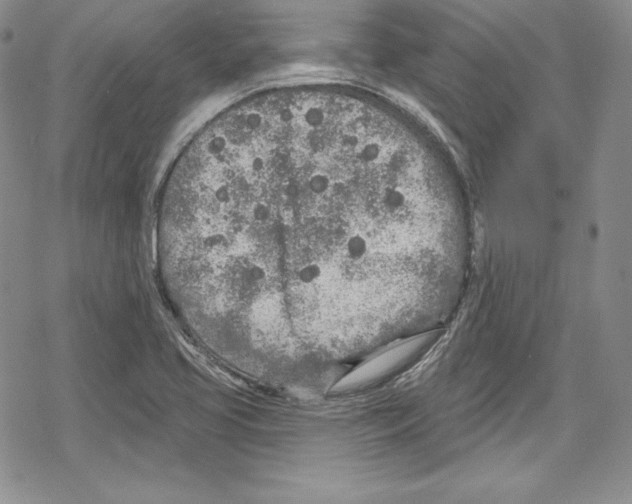 X0000078831413200612111508