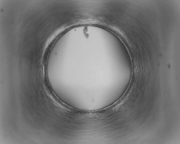 X0000078831414200612111508