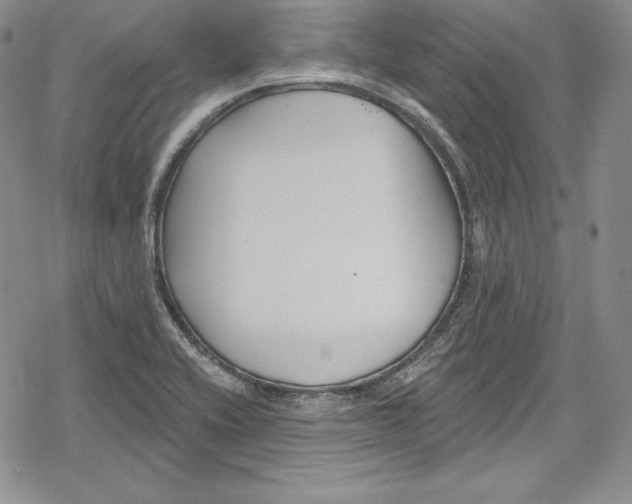 X0000078831416200612111508