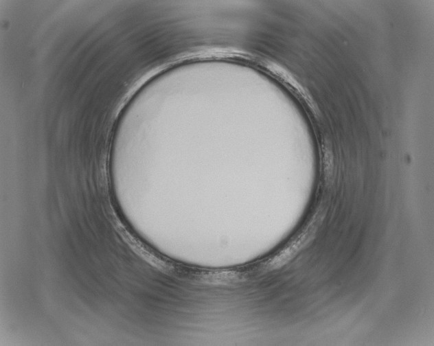 X0000078831417200612111508