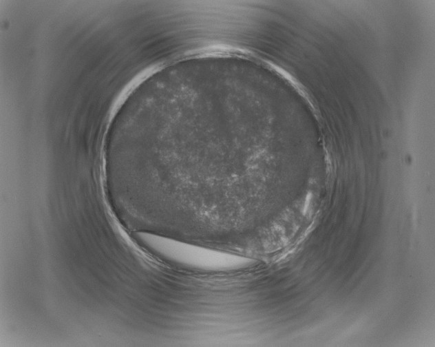 X0000078831418200612111508